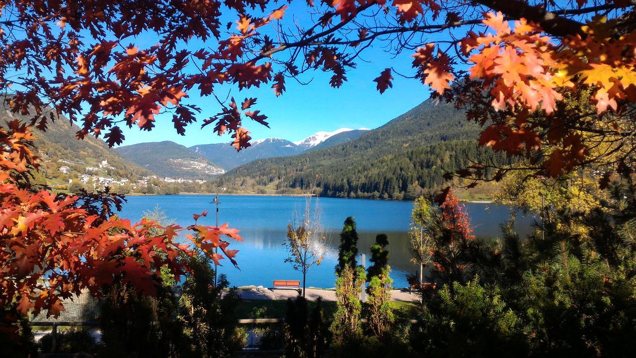 Il Cardo Trentino Apartment Bedollo ภายนอก รูปภาพ