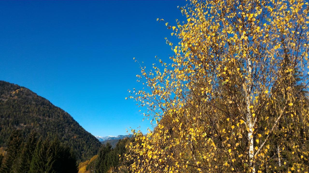 Il Cardo Trentino Apartment Bedollo ภายนอก รูปภาพ