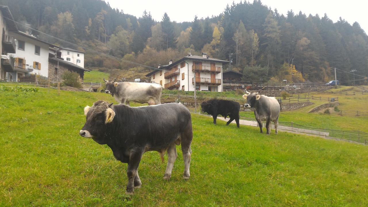 Il Cardo Trentino Apartment Bedollo ภายนอก รูปภาพ