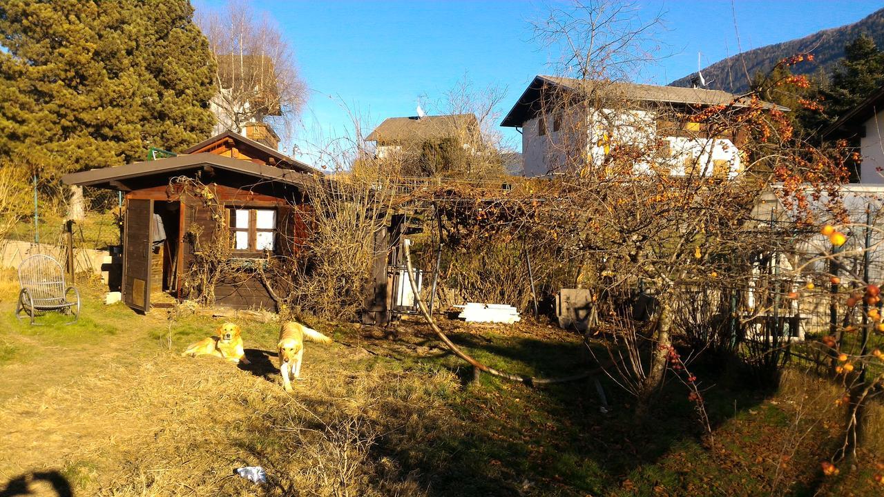 Il Cardo Trentino Apartment Bedollo ภายนอก รูปภาพ