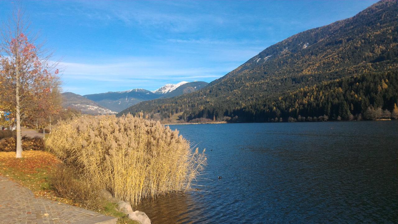Il Cardo Trentino Apartment Bedollo ภายนอก รูปภาพ